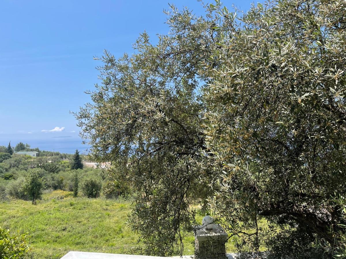 Season Inn Dhërmi Εξωτερικό φωτογραφία