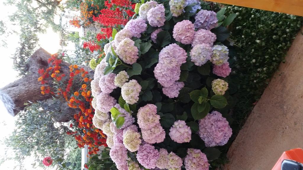 Season Inn Dhërmi Εξωτερικό φωτογραφία